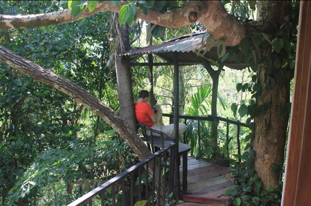 Pepper Garden Resort Элла Экстерьер фото